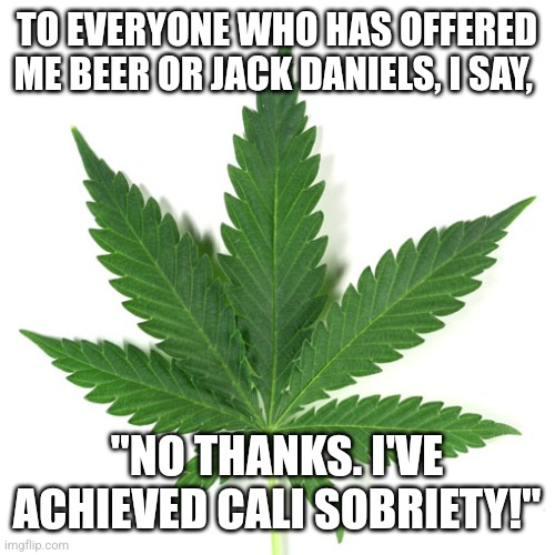 Marijuana leaf | TO EVERYONE WHO HAS OFFERED ME BEER OR JACK DANIELS, I SAY, "NO THANKS. I'VE ACHIEVED CALI SOBRIETY!" | image tagged in marijuana leaf | made w/ Imgflip meme maker