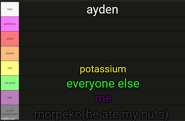 Ayden's tier list | ayden; potassium; everyone else; me; morpeko(he ate my nuts) | image tagged in ayden's tier list | made w/ Imgflip meme maker