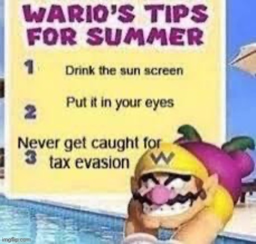 Warios tips for summer! | image tagged in wario,summer,taxes | made w/ Imgflip meme maker