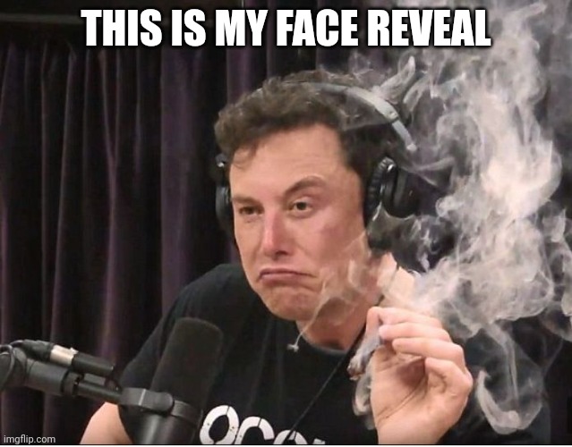 I made it into a template you're welcome | THIS IS MY FACE REVEAL | image tagged in elon musk smoking a joint | made w/ Imgflip meme maker