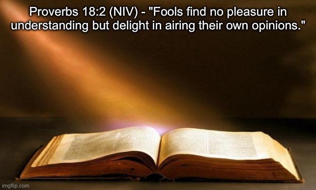 Bible  | Proverbs 18:2 (NIV) - "Fools find no pleasure in understanding but delight in airing their own opinions." | image tagged in bible | made w/ Imgflip meme maker