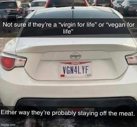 This one is brutal | image tagged in license plate,virgin,vegan,meat | made w/ Imgflip meme maker