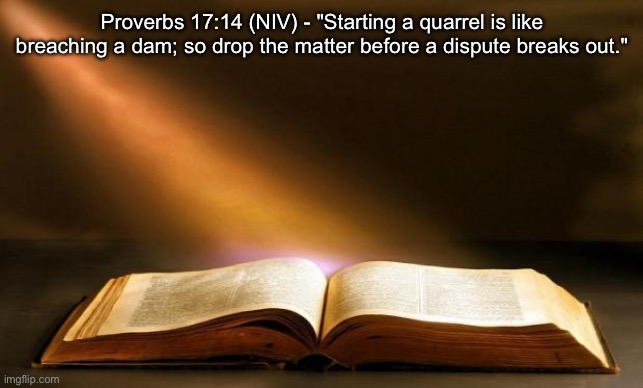 Bible  | Proverbs 17:14 (NIV) - "Starting a quarrel is like breaching a dam; so drop the matter before a dispute breaks out." | image tagged in bible | made w/ Imgflip meme maker