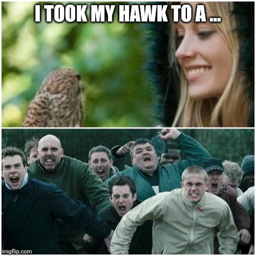 Hawktua | I TOOK MY HAWK TO A ... | image tagged in hawk tua hawktua | made w/ Imgflip meme maker