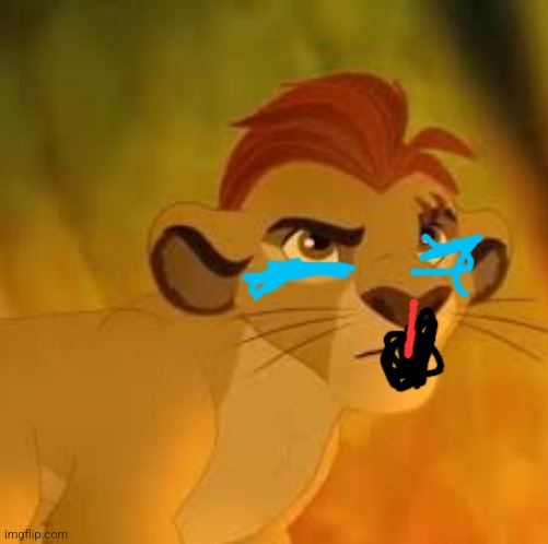 Kion crybaby | image tagged in kion crybaby | made w/ Imgflip meme maker