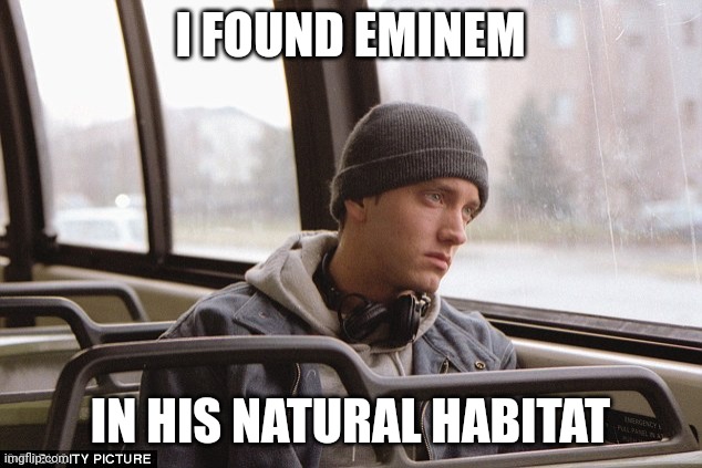 Why does he look like he got chemotherapy | I FOUND EMINEM; IN HIS NATURAL HABITAT | image tagged in depressed eminem | made w/ Imgflip meme maker