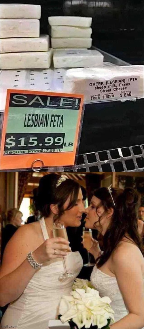 Fetta | image tagged in lesbian wedding,fetta,lesbian | made w/ Imgflip meme maker