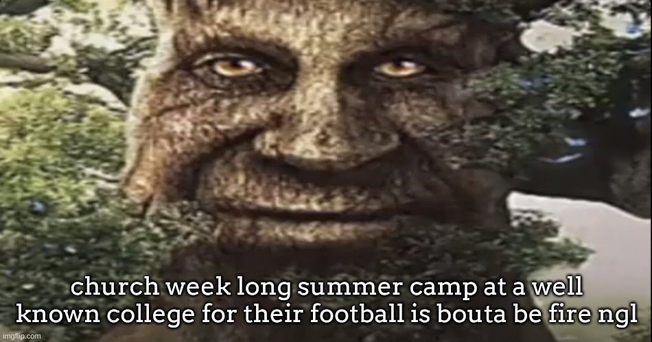 Wise mystical tree | church week long summer camp at a well known college for their football is bouta be fire ngl | image tagged in wise mystical tree | made w/ Imgflip meme maker