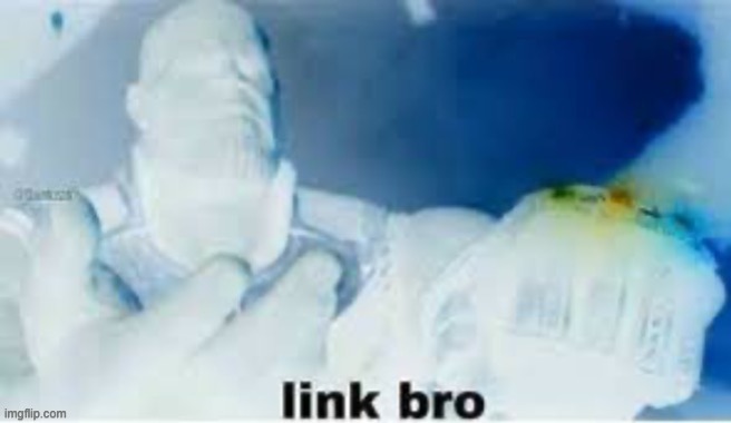 link bro | image tagged in link bro | made w/ Imgflip meme maker