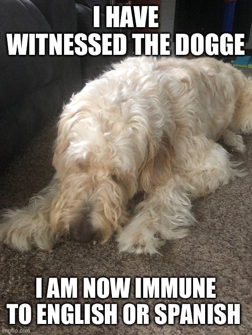 hehehehaw | I HAVE WITNESSED THE DOGGE; I AM NOW IMMUNE TO ENGLISH OR SPANISH | made w/ Imgflip meme maker