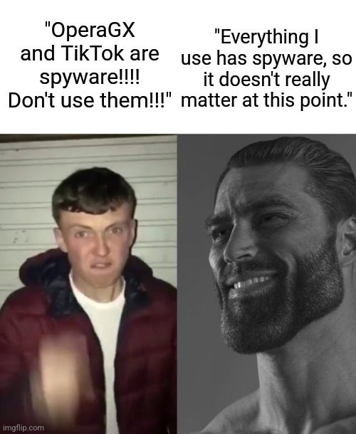 Average Fan vs Average Enjoyer | "OperaGX and TikTok are spyware!!!! Don't use them!!!"; "Everything I use has spyware, so it doesn't really matter at this point." | image tagged in average fan vs average enjoyer | made w/ Imgflip meme maker