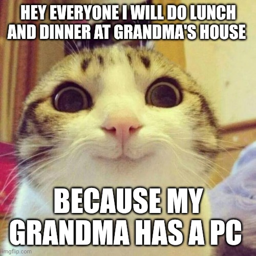 Smiling Cat Meme | HEY EVERYONE I WILL DO LUNCH AND DINNER AT GRANDMA'S HOUSE; BECAUSE MY GRANDMA HAS A PC | image tagged in memes,smiling cat | made w/ Imgflip meme maker