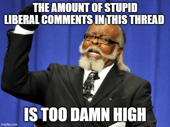 Liberals Never Have Anything Intelligent To Say. | THE AMOUNT OF STUPID LIBERAL COMMENTS IN THIS THREAD; IS TOO DAMN HIGH | image tagged in memes,too damn high | made w/ Imgflip meme maker