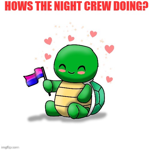 TDYM bi turtle | HOWS THE NIGHT CREW DOING? | image tagged in tdym bi turtle | made w/ Imgflip meme maker