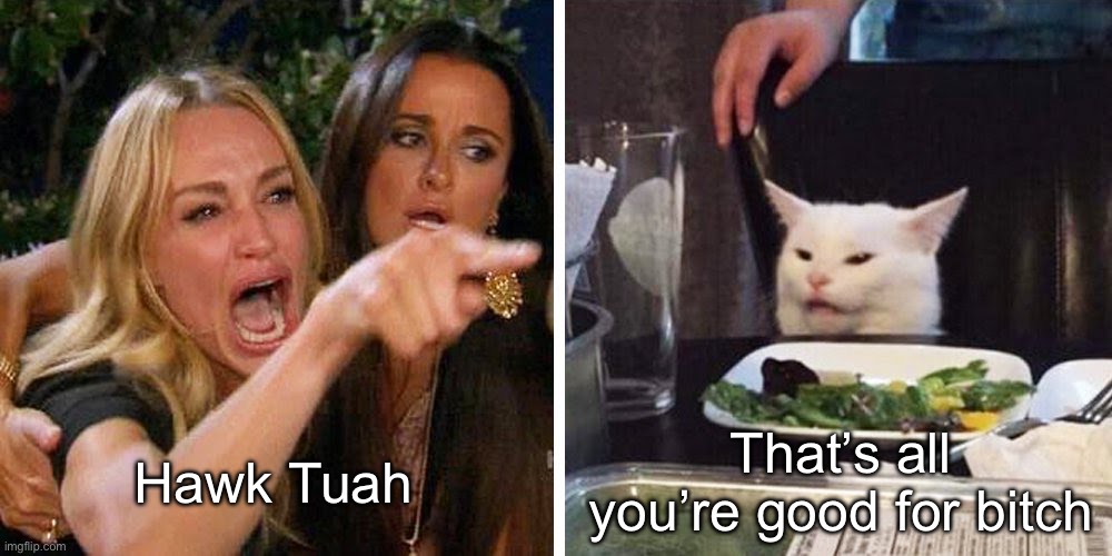 Hawk Tuah | Hawk Tuah; That’s all you’re good for bitch | image tagged in smudge the cat,hawk,spit,thang | made w/ Imgflip meme maker