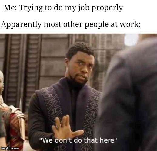 we dont do that here | Me: Trying to do my job properly; Apparently most other people at work: | image tagged in we dont do that here | made w/ Imgflip meme maker