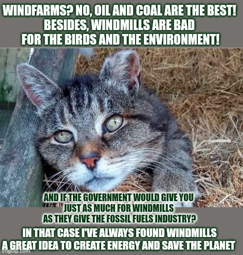 This #lolcat wonders if it's really always about money | WINDFARMS? NO, OIL AND COAL ARE THE BEST! 
BESIDES, WINDMILLS ARE BAD 
FOR THE BIRDS AND THE ENVIRONMENT! AND IF THE GOVERNMENT WOULD GIVE YOU 
JUST AS MUCH FOR WINDMILLS 
AS THEY GIVE THE FOSSIL FUELS INDUSTRY? IN THAT CASE I'VE ALWAYS FOUND WINDMILLS A GREAT IDEA TO CREATE ENERGY AND SAVE THE PLANET | image tagged in greed,corporate greed,money,lolcat | made w/ Imgflip meme maker
