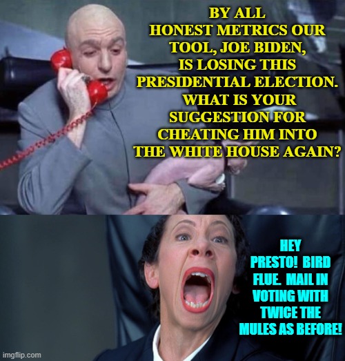 Bird flu, increased climate change hysteria, make illegals legal and let them vote.  You name it. | BY ALL HONEST METRICS OUR TOOL, JOE BIDEN, IS LOSING THIS PRESIDENTIAL ELECTION.  WHAT IS YOUR SUGGESTION FOR CHEATING HIM INTO THE WHITE HOUSE AGAIN? HEY PRESTO!  BIRD FLUE.  MAIL IN VOTING WITH TWICE THE MULES AS BEFORE! | image tagged in dr evil and frau | made w/ Imgflip meme maker