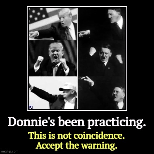 He's telling you who he is. Believe him. | Donnie's been practicing. | This is not coincidence. 
Accept the warning. | image tagged in funny,demotivationals,trump,fascist,dictator,hitler | made w/ Imgflip demotivational maker