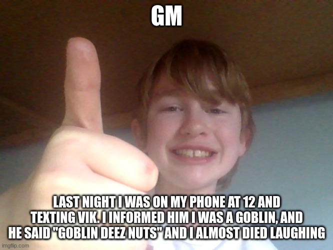 GM; LAST NIGHT I WAS ON MY PHONE AT 12 AND TEXTING VIK. I INFORMED HIM I WAS A GOBLIN, AND HE SAID "GOBLIN DEEZ NUTS" AND I ALMOST DIED LAUGHING | image tagged in good for you bro | made w/ Imgflip meme maker