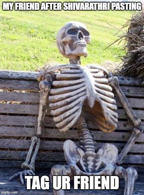 Waiting Skeleton Meme | MY FRIEND AFTER SHIVARATHRI PASTING; TAG UR FRIEND | image tagged in memes,waiting skeleton | made w/ Imgflip meme maker