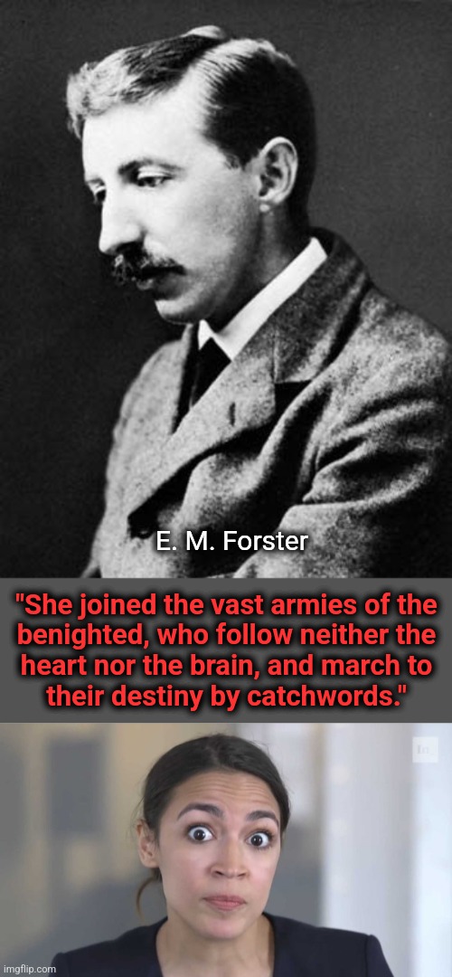 E. M. Forster; "She joined the vast armies of the
benighted, who follow neither the
heart nor the brain, and march to
their destiny by catchwords." | image tagged in crazy alexandria ocasio-cortez,memes,e m forster,crazy town,democrats | made w/ Imgflip meme maker