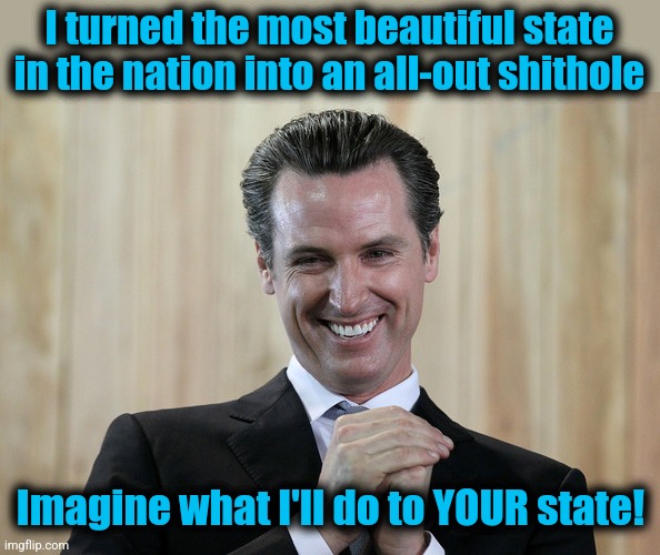Scheming Gavin Newsom  | I turned the most beautiful state in the nation into an all-out shithole Imagine what I'll do to YOUR state! | image tagged in scheming gavin newsom | made w/ Imgflip meme maker