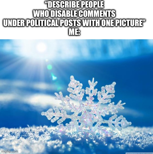 Snowflake | “DESCRIBE PEOPLE WHO DISABLE COMMENTS UNDER POLITICAL POSTS WITH ONE PICTURE”
ME: | image tagged in blank white template,snowflake | made w/ Imgflip meme maker