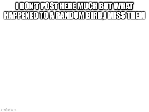 Blank White Template | I DON'T POST HERE MUCH BUT WHAT HAPPENED TO A RANDOM BIRB,I MISS THEM | image tagged in blank white template | made w/ Imgflip meme maker