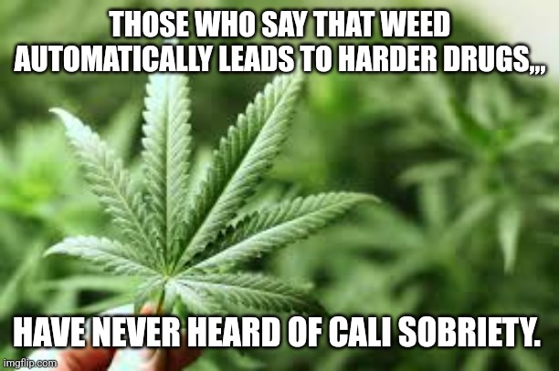 marijuana | THOSE WHO SAY THAT WEED AUTOMATICALLY LEADS TO HARDER DRUGS,,, HAVE NEVER HEARD OF CALI SOBRIETY. | image tagged in marijuana | made w/ Imgflip meme maker