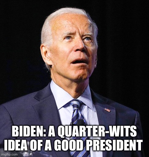 Joe Biden | BIDEN: A QUARTER-WITS IDEA OF A GOOD PRESIDENT | image tagged in joe biden | made w/ Imgflip meme maker