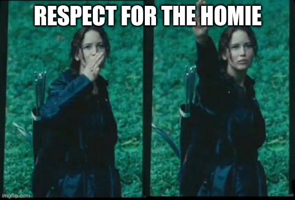Katniss Respect | RESPECT FOR THE HOMIE | image tagged in katniss respect | made w/ Imgflip meme maker
