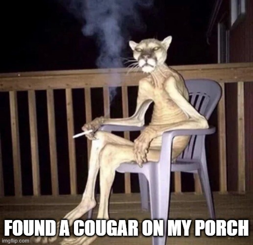 Cougar | FOUND A COUGAR ON MY PORCH | image tagged in cursed image | made w/ Imgflip meme maker
