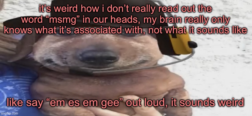 chucklenuts | it’s weird how i don’t really read out the word “msmg” in our heads, my brain really only knows what it’s associated with, not what it sounds like; like say “em es em gee” out loud, it sounds weird | image tagged in chucklenuts | made w/ Imgflip meme maker