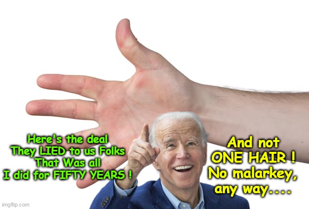 Now that he's 80, all he can do is "Slack Off" | And not
ONE HAIR !
No malarkey, any way.... Here's the deal They LIED to us Folks
That Was all I did for FIFTY YEARS ! | image tagged in biden jag off for fifty years meme | made w/ Imgflip meme maker