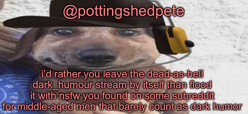 most people using that stream are like 12 year old kids who finally realized that browsing Fun just isn’t exciting anymore | @pottingshedpete; i’d rather you leave the dead-as-hell dark_humour stream by itself than flood it with nsfw you found on some subreddit for middle-aged men that barely count as dark humor | image tagged in chucklenuts | made w/ Imgflip meme maker