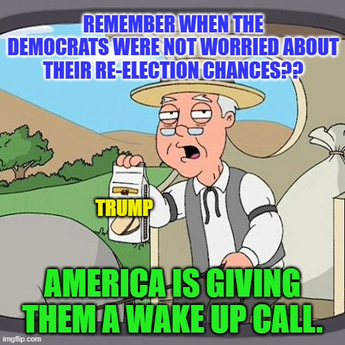 Pepperidge Farm Remembers | REMEMBER WHEN THE DEMOCRATS WERE NOT WORRIED ABOUT THEIR RE-ELECTION CHANCES?? TRUMP; AMERICA IS GIVING THEM A WAKE UP CALL. | image tagged in memes,pepperidge farm remembers | made w/ Imgflip meme maker