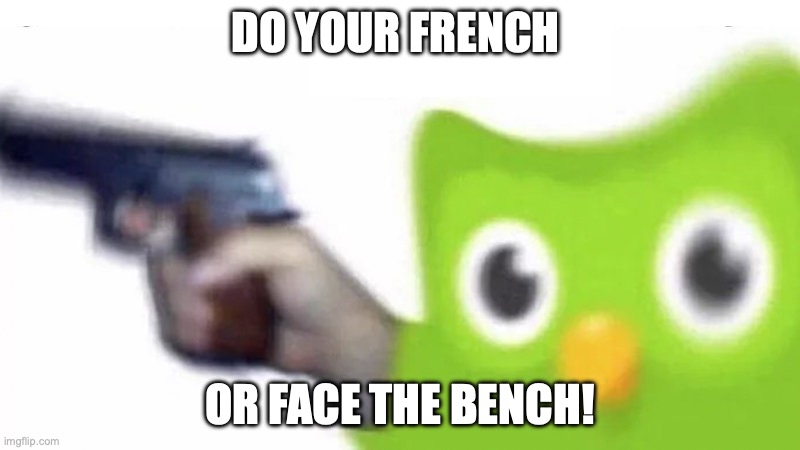 completed your duo lessons ? | DO YOUR FRENCH; OR FACE THE BENCH! | image tagged in duolingo gun | made w/ Imgflip meme maker