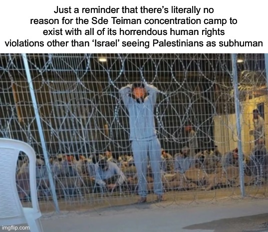 A “fun” point to bring up whenever someone tries to paint ‘Israel’ as a bastion of human rights | Just a reminder that there’s literally no reason for the Sde Teiman concentration camp to exist with all of its horrendous human rights violations other than ‘Israel’ seeing Palestinians as subhuman | made w/ Imgflip meme maker