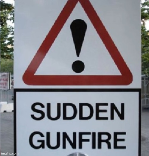 Sudden Gunfire | image tagged in sudden gunfire | made w/ Imgflip meme maker