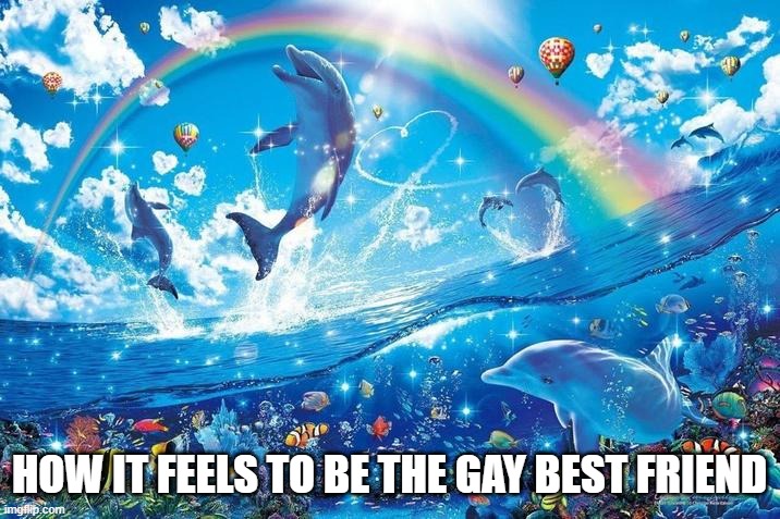Happy dolphin rainbow | HOW IT FEELS TO BE THE GAY BEST FRIEND | image tagged in happy dolphin rainbow | made w/ Imgflip meme maker