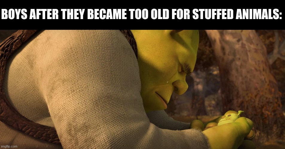 Goodbye best friends | BOYS AFTER THEY BECAME TOO OLD FOR STUFFED ANIMALS: | image tagged in memes,funny,shrek,childhood,movies | made w/ Imgflip meme maker
