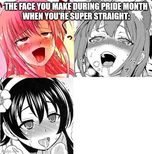 Hentai Faces | THE FACE YOU MAKE DURING PRIDE MONTH
WHEN YOU'RE SUPER STRAIGHT: | image tagged in hentai faces | made w/ Imgflip meme maker