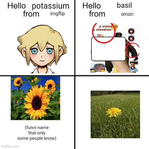 canon | potassium; basil; imgflip; omori; (funni name that only some people know) | image tagged in hello person from | made w/ Imgflip meme maker