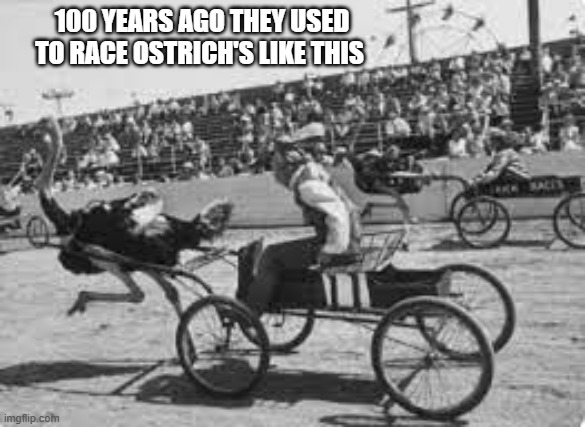 memes by Brad - Ostrich racing 100 years ago | 100 YEARS AGO THEY USED TO RACE OSTRICH'S LIKE THIS | image tagged in funny,sports,ostrich,racing,historical,history memes | made w/ Imgflip meme maker