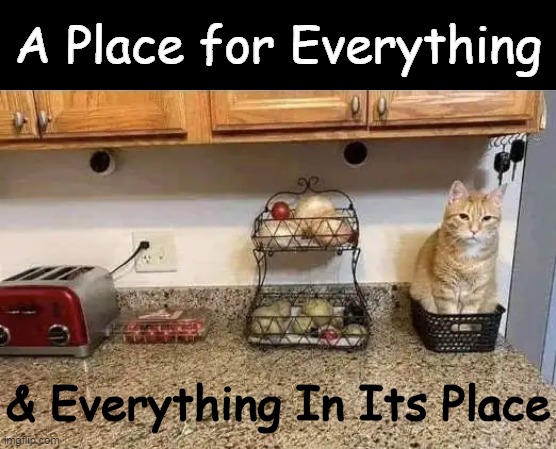 No More Clutter! | A Place for Everything; & Everything In Its Place | image tagged in cats,cute cat,funny cat,clutter,funny,solution | made w/ Imgflip meme maker