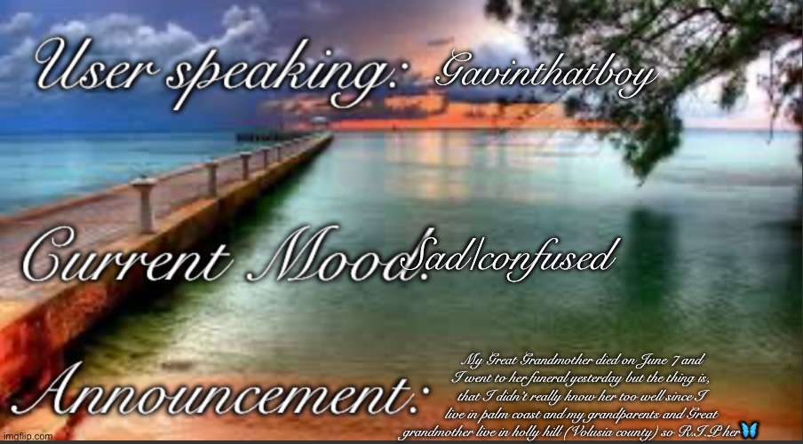 Tip: look at the description if you can’t read it well | Gavinthatboy; Sad/confused; My Great Grandmother died on June 7 and I went to her funeral yesterday but the thing is, that I didn’t really know her too well since I live in palm coast and my grandparents and Great grandmother live in holly hill (Volusia county) so R.I.P her🦋 | image tagged in gavinboy announcement,announcement | made w/ Imgflip meme maker