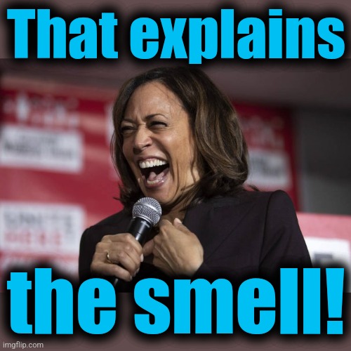 Kamala laughing | That explains the smell! | image tagged in kamala laughing | made w/ Imgflip meme maker