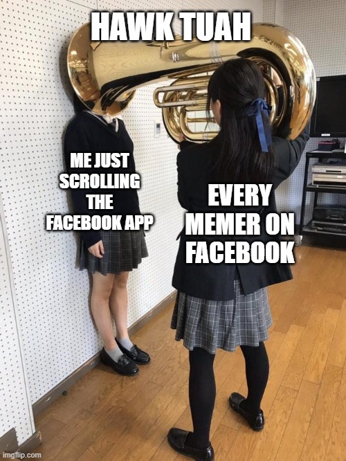 Girl Putting Tuba on Girl's Head | HAWK TUAH; ME JUST SCROLLING THE FACEBOOK APP; EVERY MEMER ON FACEBOOK | image tagged in girl putting tuba on girl's head | made w/ Imgflip meme maker