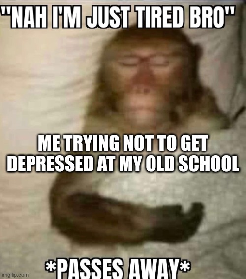 nah i'm just tired bro *passes away* | ME TRYING NOT TO GET DEPRESSED AT MY OLD SCHOOL | image tagged in nah i'm just tired bro passes away | made w/ Imgflip meme maker